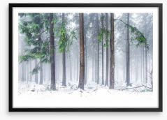 Snowfall greens Framed Art Print 126693865