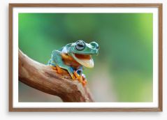 Reptiles / Amphibian Framed Art Print 127797736