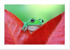 Reptiles / Amphibian Art Print 127810487