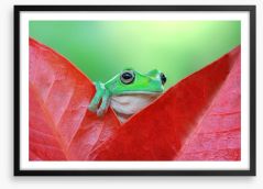 Reptiles / Amphibian Framed Art Print 127810487