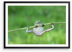 Amphibian acrobat Framed Art Print 127810826