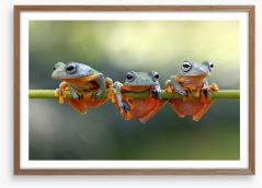 Last frog hanging Framed Art Print 127810962