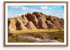 Outback Framed Art Print 128258390