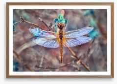A  dragonfly day Framed Art Print 129503991