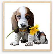 Beagle bouquet