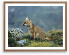 Mammals Framed Art Print 129885284