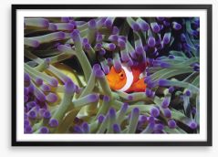 Finding Nemo Framed Art Print 129915039
