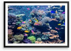 Underwater Framed Art Print 130473079