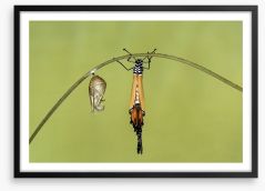 Insects Framed Art Print 130541387