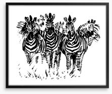 A dazzle of zebras Framed Art Print 13106100
