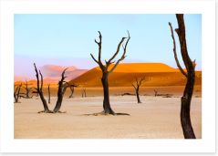 Desert Art Print 131713312