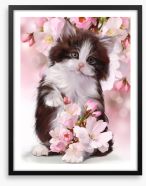 Kitten in the blossom Framed Art Print 131713480