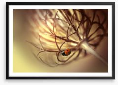 Insects Framed Art Print 132043651