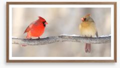 Courting cardinals Framed Art Print 132136061