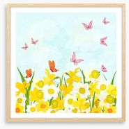 Daffodil flutter