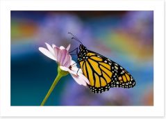 Butterflies Art Print 133039461