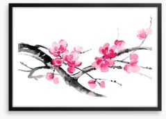 Cherry blossom branch Framed Art Print 133801986