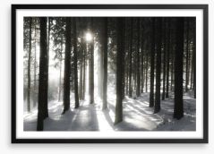 Black forest sunlight Framed Art Print 134563388