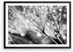 In the raindrops Framed Art Print 134933821