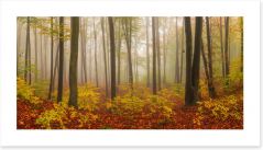 Forests Art Print 136225073