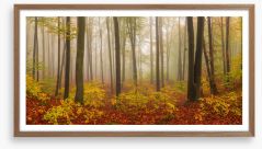 Forests Framed Art Print 136225073