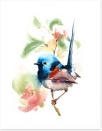 Little fairy wren Art Print 137536615