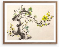 Green plum blossom Framed Art Print 138099914