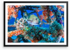 Underwater Framed Art Print 138248108