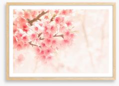 Soft sakura Framed Art Print 140027538