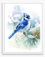 Blue jay snowfall Framed Art Print 140872572
