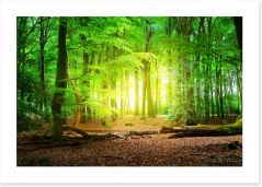 Forests Art Print 141347106