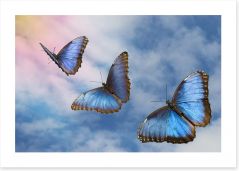 Butterflies Art Print 14196513