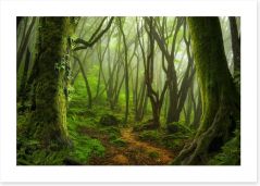 Forests Art Print 142175306