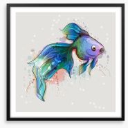 Seems fishy Framed Art Print 144460900