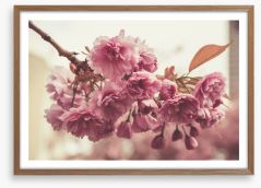 Vintage bloom Framed Art Print 144892652