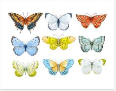 Butterflies Art Print 146038733