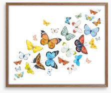 Butterfly flight Framed Art Print 146038771