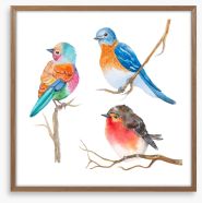 Birds Framed Art Print 147572983