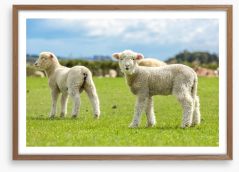 New Zealand Framed Art Print 151217551