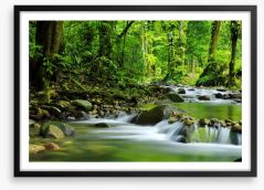 Green jungle stream Framed Art Print 15363026