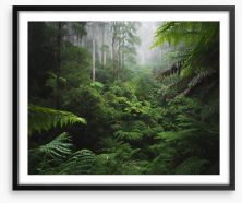 Rainforest ferns Framed Art Print 156095781