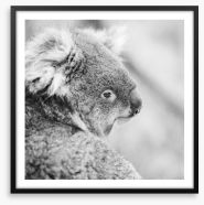 Sad koala Framed Art Print 156188680