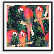 Midnight parrots Framed Art Print 158573925