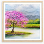 Pink blossom lake