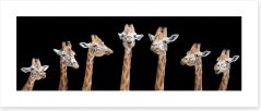 Seven giraffes Art Print 159732335
