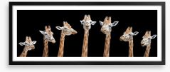 Seven giraffes Framed Art Print 159732335