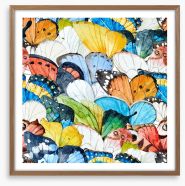 Butterflies Framed Art Print 160784751