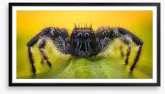 Insects Framed Art Print 160821537
