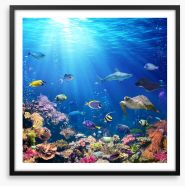 A reef perspective Framed Art Print 161347812