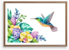 Yellow orchid hummingbird Framed Art Print 161796775